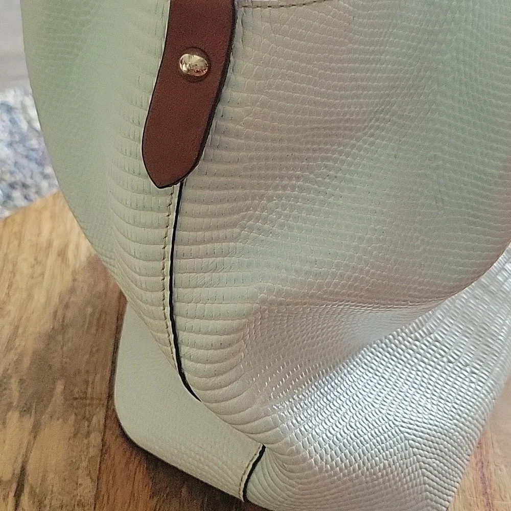 Dooney & Bourke White/Light Blue Lizard Satchel - Picture 14 of 17